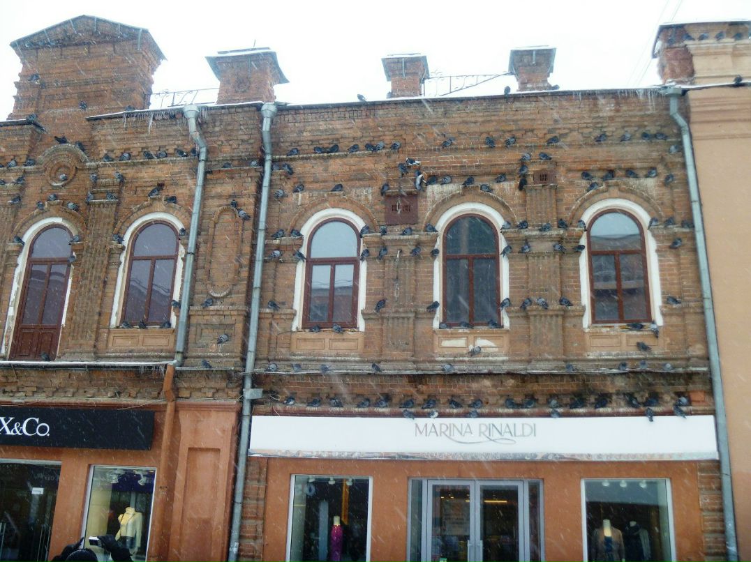 Александр Сомов | Липецк