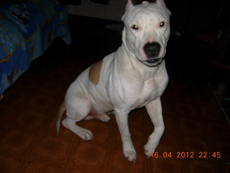 Екатерина Вересова Сергеевна | Красноярск