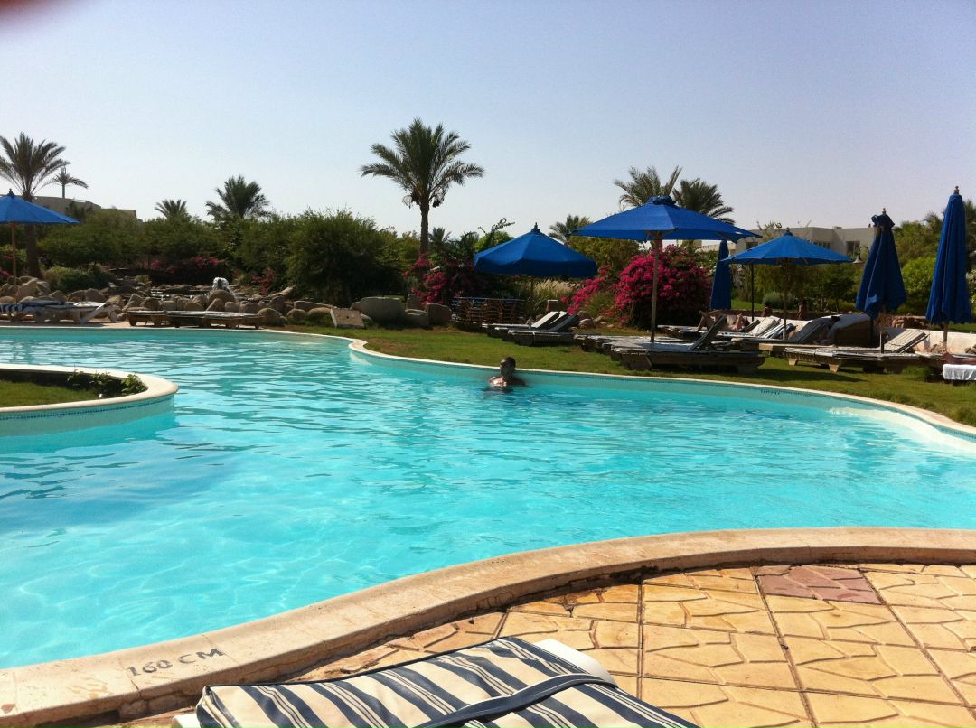 Виталий Соколович | Минск