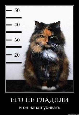 Виталий Деревянкин | Киев