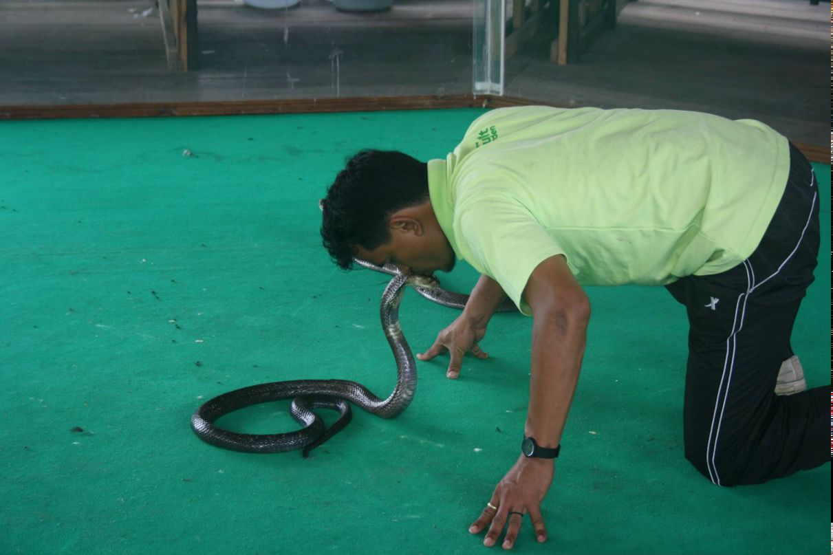 Наталья Тимофеева *Таша* | Санкт-Петербург