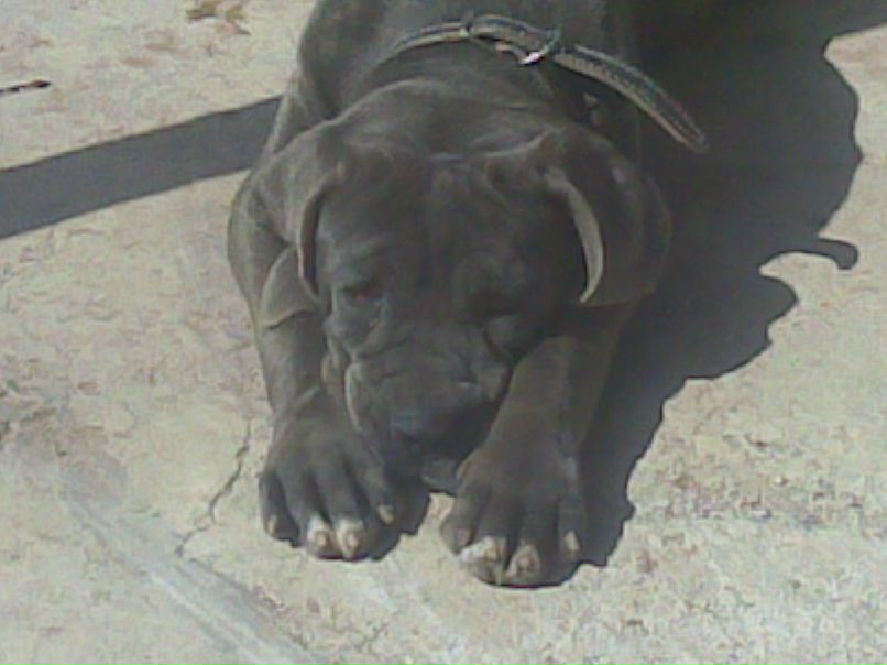 Стусяк Евгенич | Первомайское