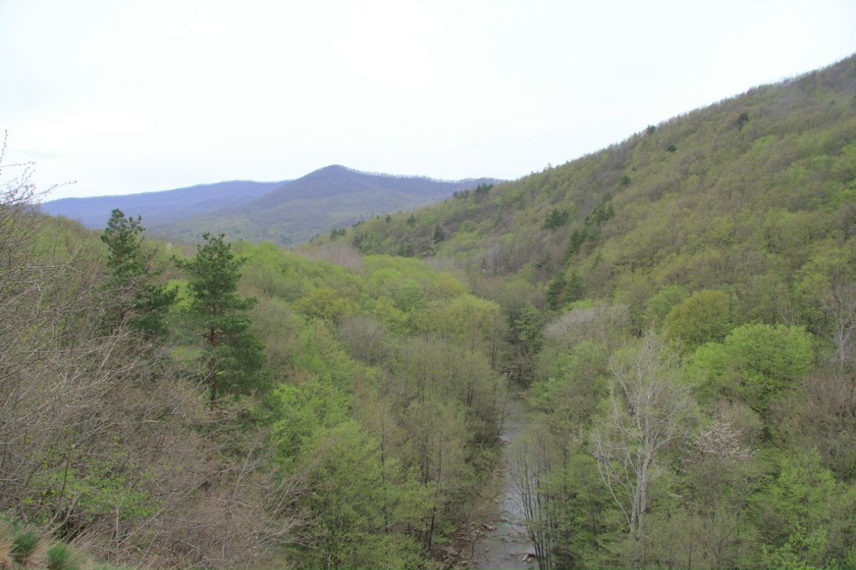 Aleksandr Kasatkin | Краснодар