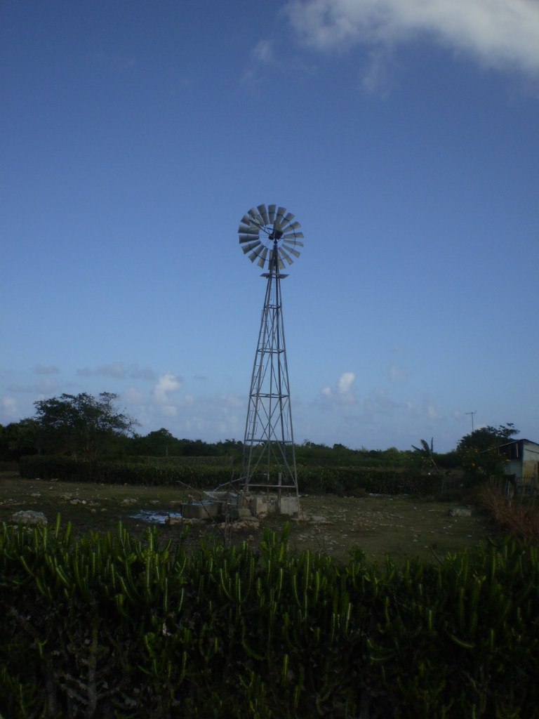 Константин Почитаев | Montréal