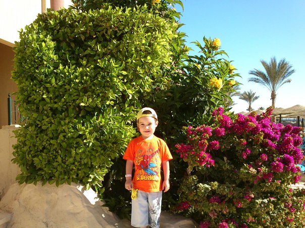 №38, Eddy Island, 14.4.1971, Альметьевск №38, Eddy Island, 14.4.1971, Альметьевск