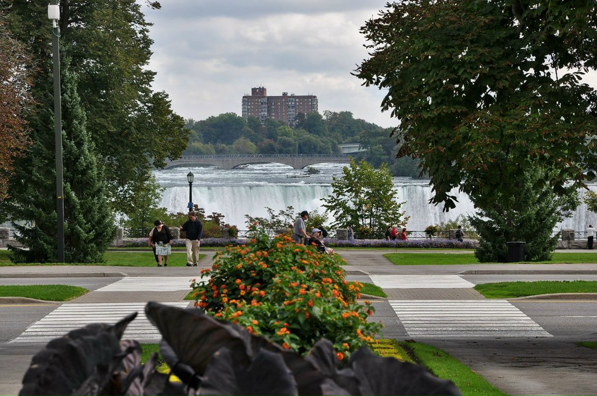 Алексей Рубенок | Москва