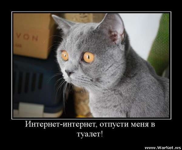 Ярина Углицкая | Самара