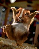 №5, Катюша Метлицкая №5, Катюша Метлицкая