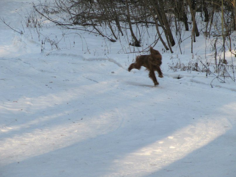 Бунтующий Ребенок | Белгород