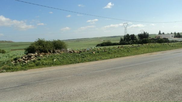 №40, Hamza Methanni, Омск №40, Hamza Methanni, Омск