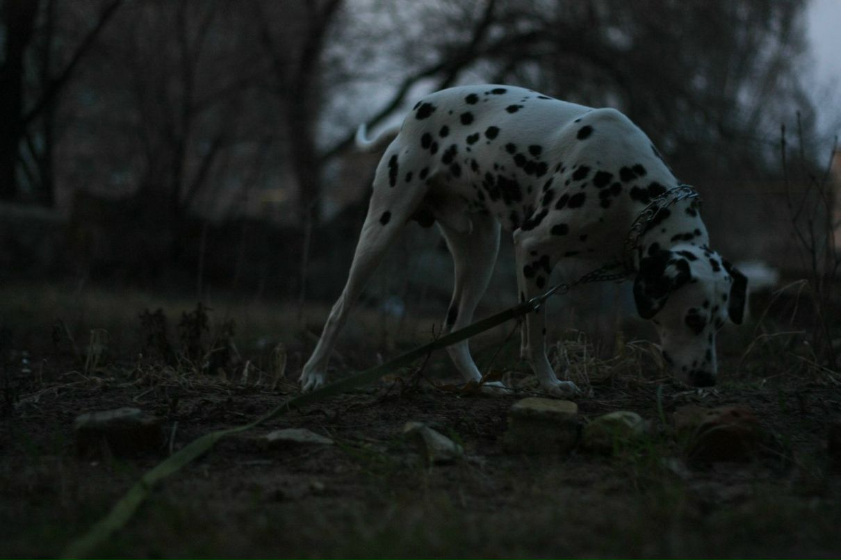Славик Аджигитов | Москва