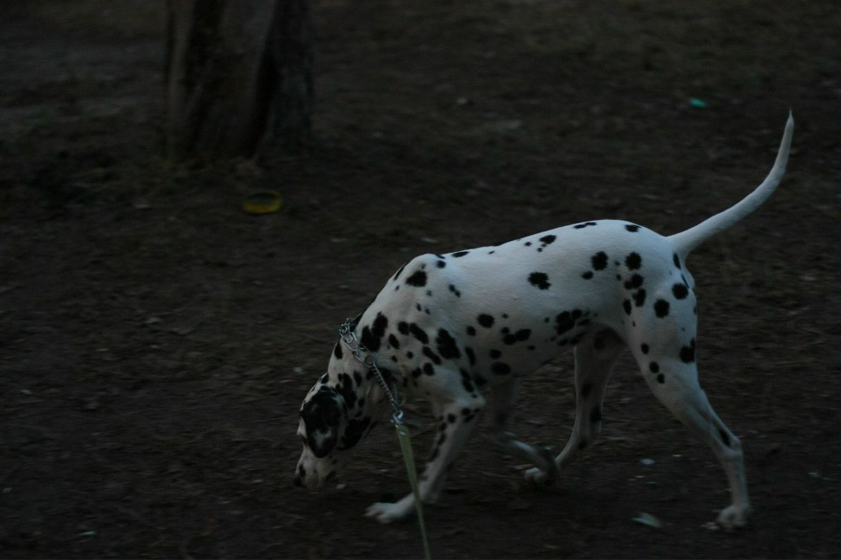 Славик Аджигитов | Москва