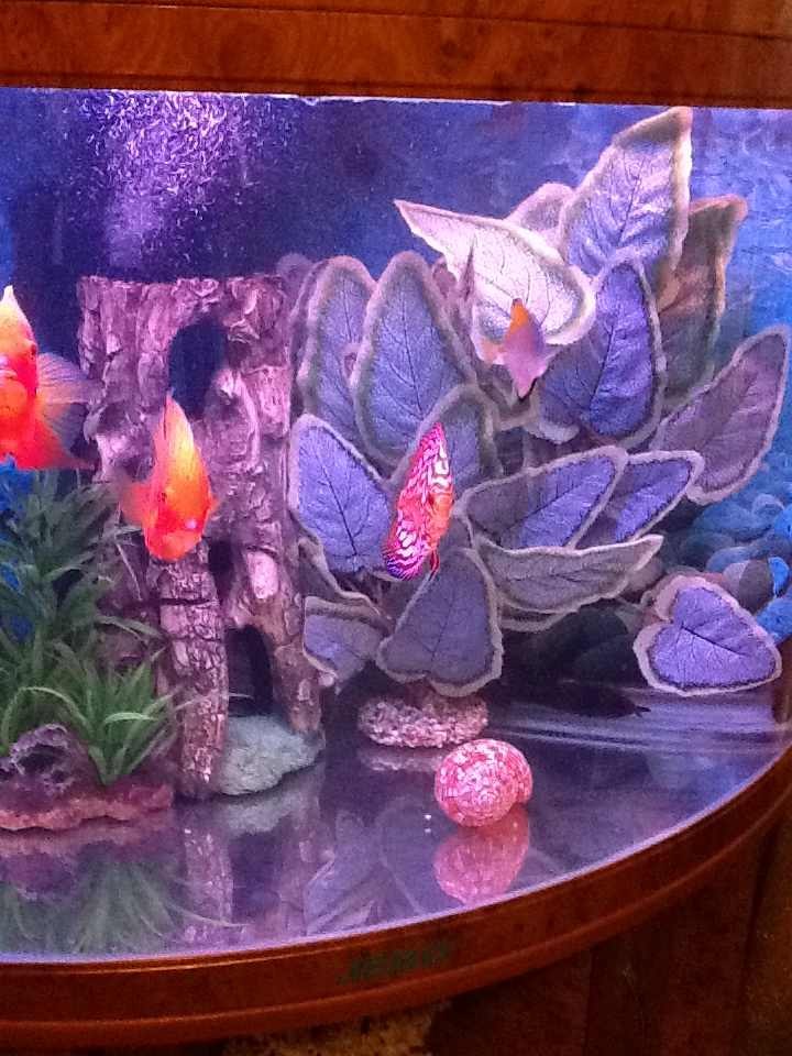 Роман Кузнецов | Казань