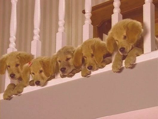 Олег Самарин | Санкт-Петербург