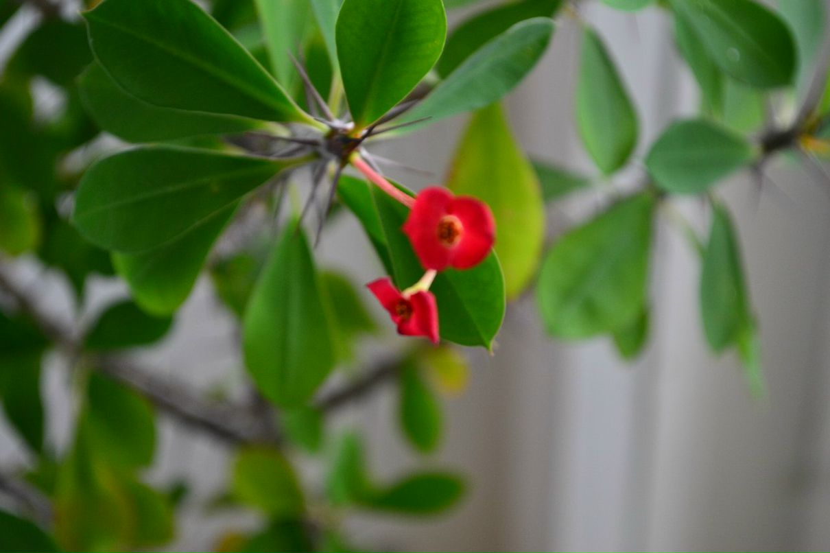 Татьяна Кизякова | Волгоград