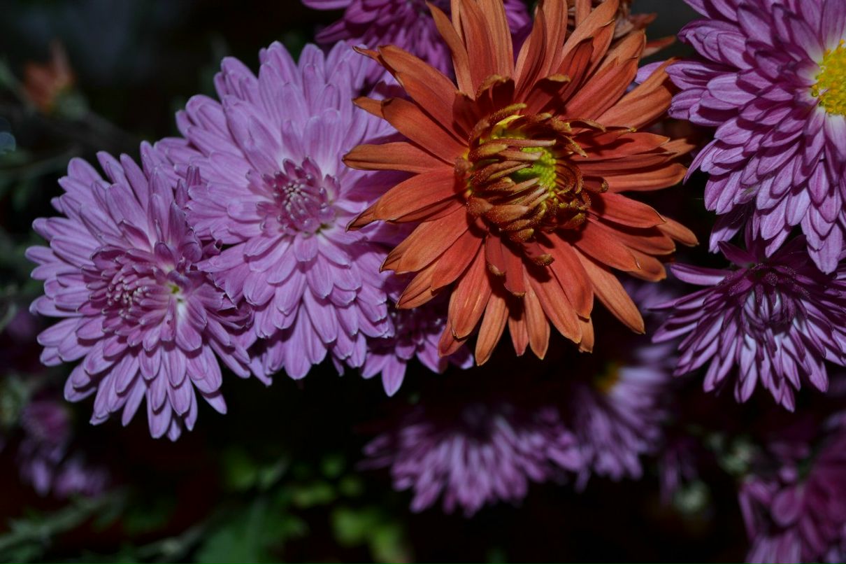 Татьяна Кизякова | Волгоград