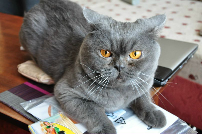 Ира Ибрагимова | Харьков