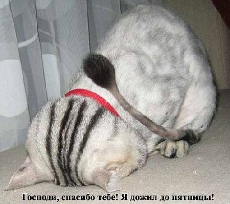 Мария Моисейчева | Киев