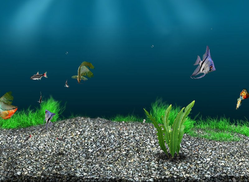 Рома Петров | Екатеринбург