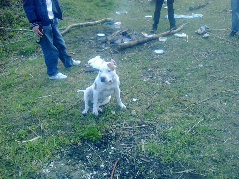 №53, Вова Дорошенко, 37 лет, Киев №53, Вова Дорошенко, 37 лет, Киев