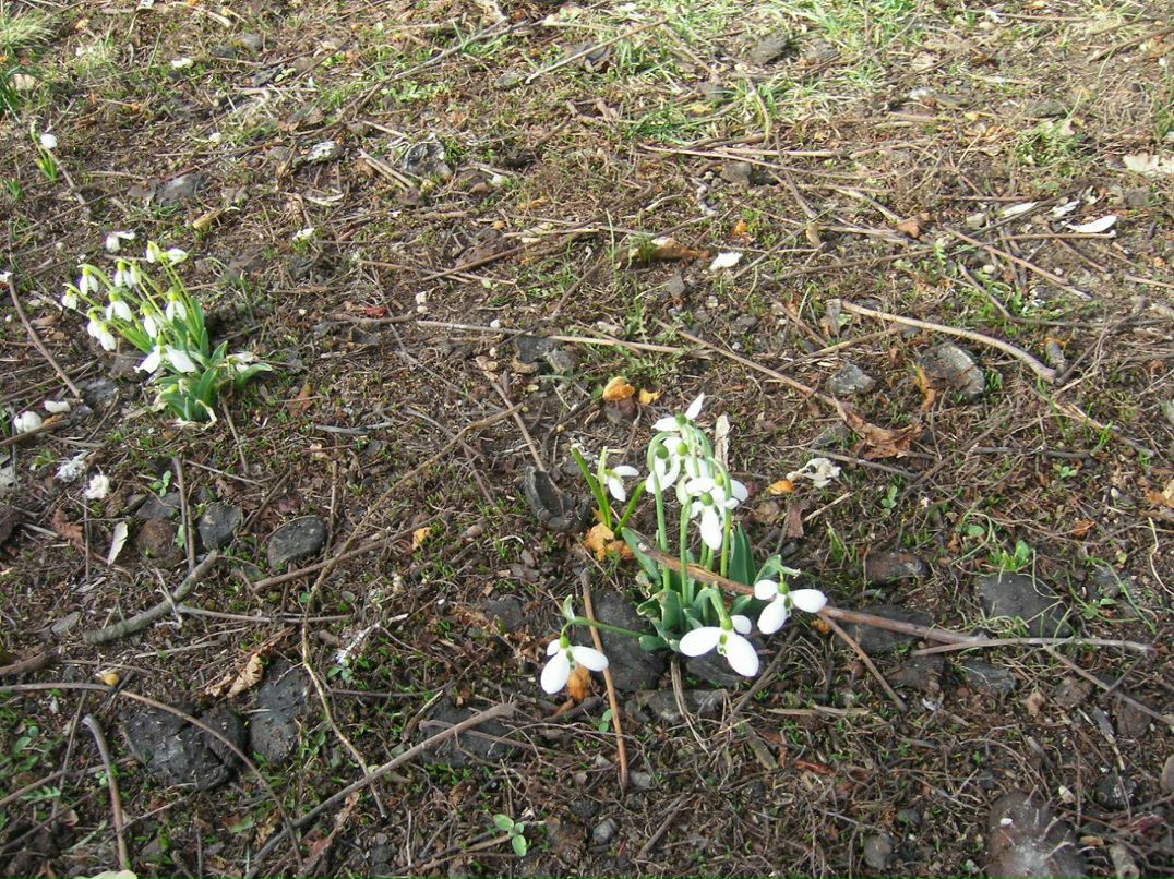 Наталия Лютц | Wiesbaden