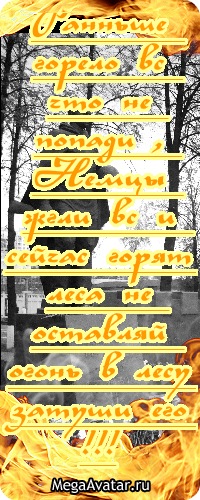 №12, Анна Алексеева №12, Анна Алексеева