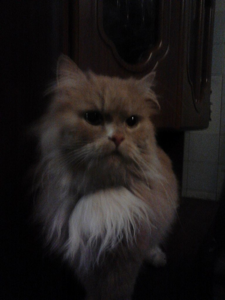 Марина Казбек | Печоры