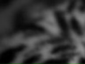 Ирина Комелёва Викторовна | Новосибирск