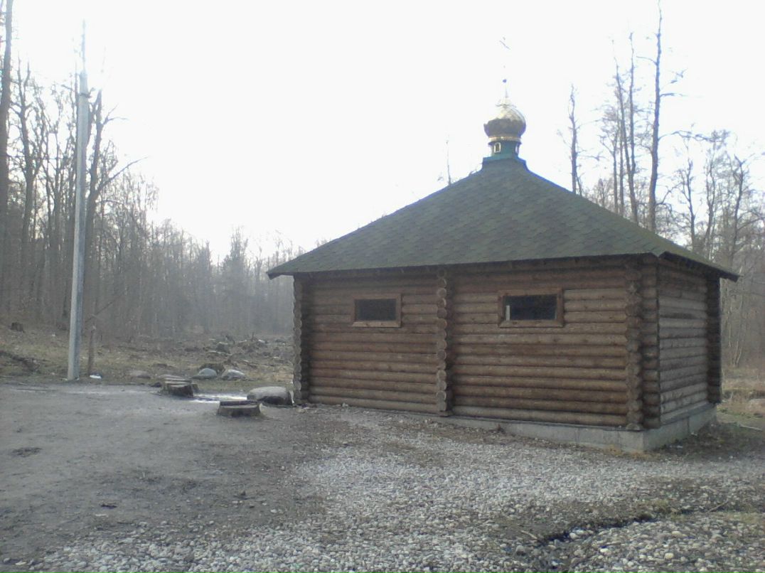 Андрей Кунисов | Калининград