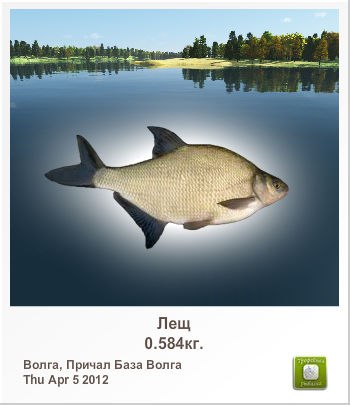 Пусто Пусто | 