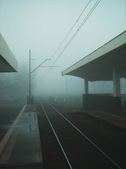 Dxm Zoob | Санкт-Петербург