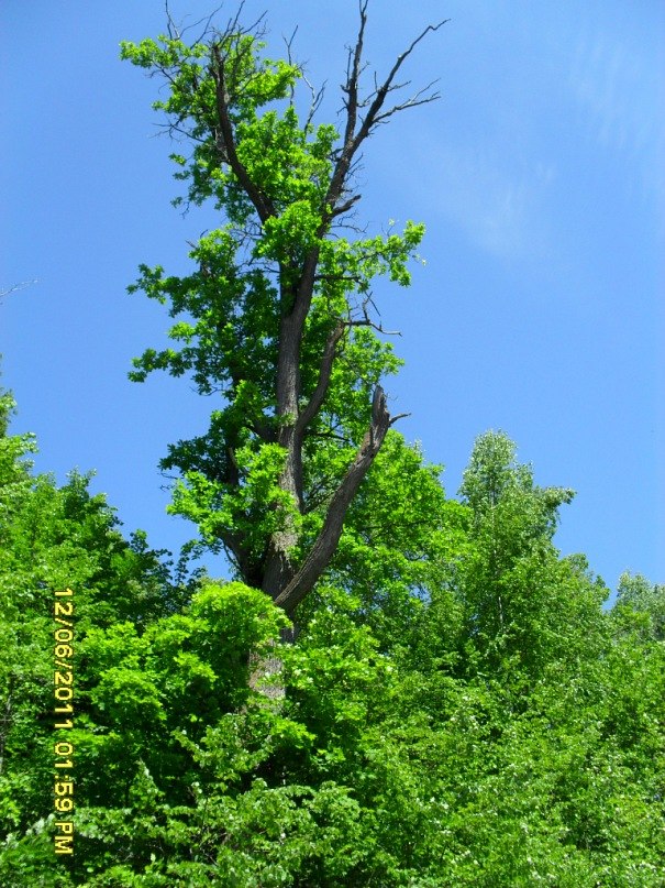 Sergei Shazamov | Нижний Новгород