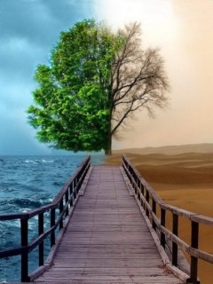 Сергей Синтялёв | Нижний Новгород