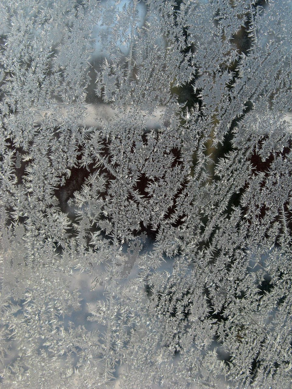 Мария Синица | Запорожье