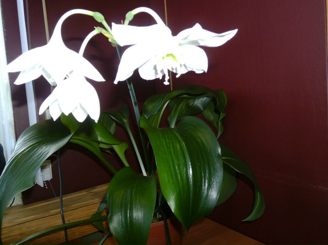 Светлана Свешникова | Устье