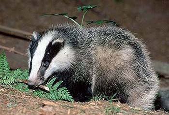 Александр Фёдоров | Москва