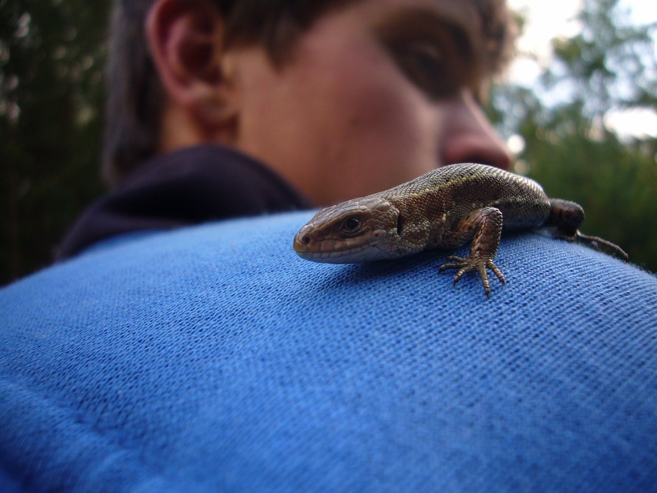 Фото профиля