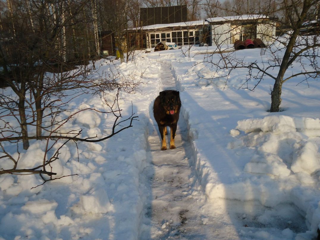 Анна Ефанова | Санкт-Петербург