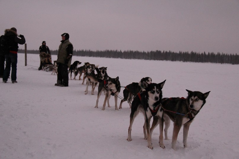 Маруся Котова | Санкт-Петербург