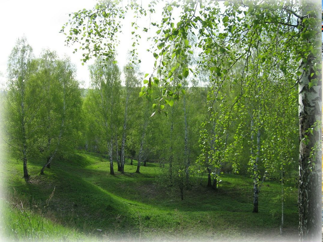 Елена Васильева | Пермь