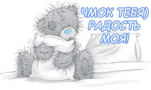 Евгения Точилова 'belka' | Архангельск