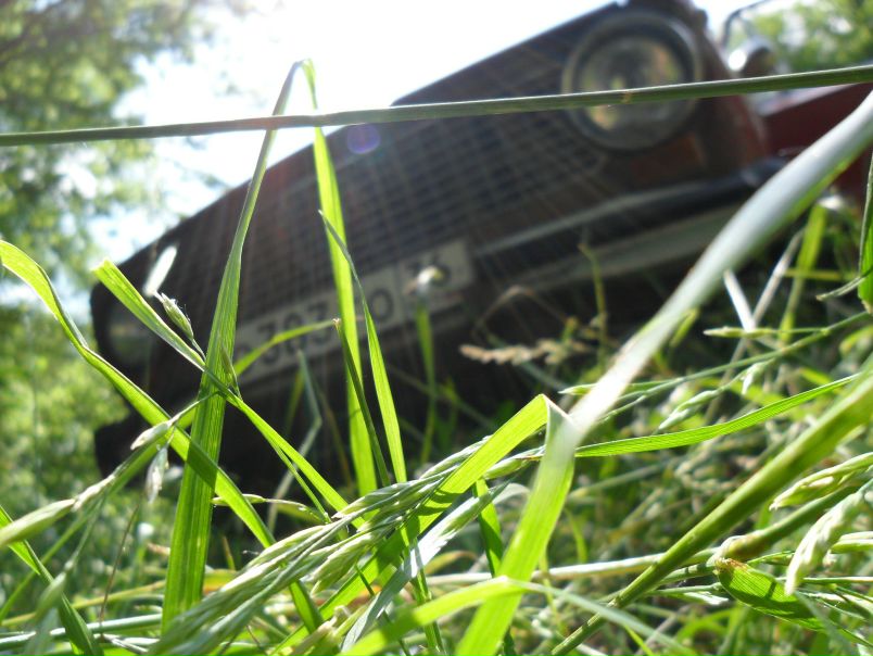 №5, Юлия Семенихина №5, Юлия Семенихина