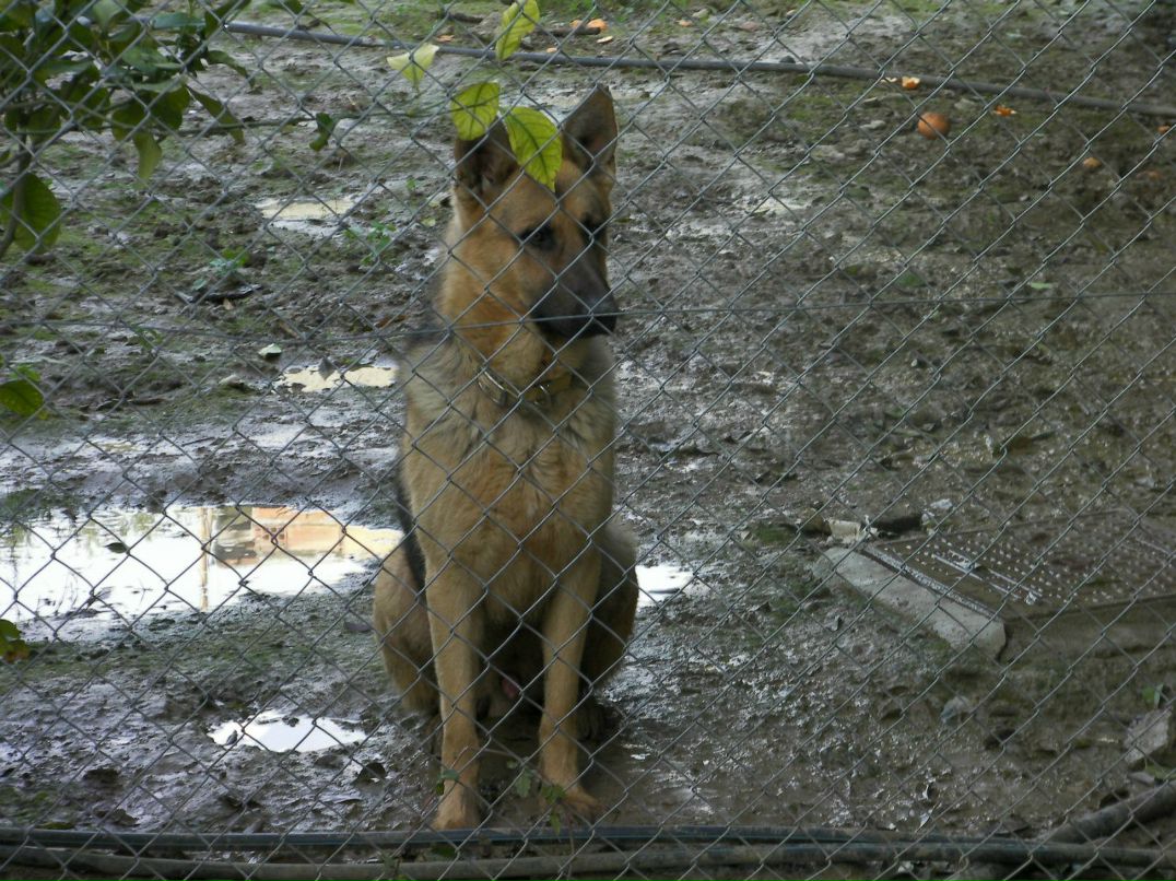 Karina Kosorukova | Larnaca