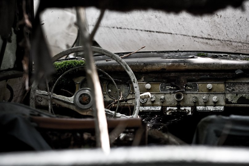 Алексей Токарев | Киров