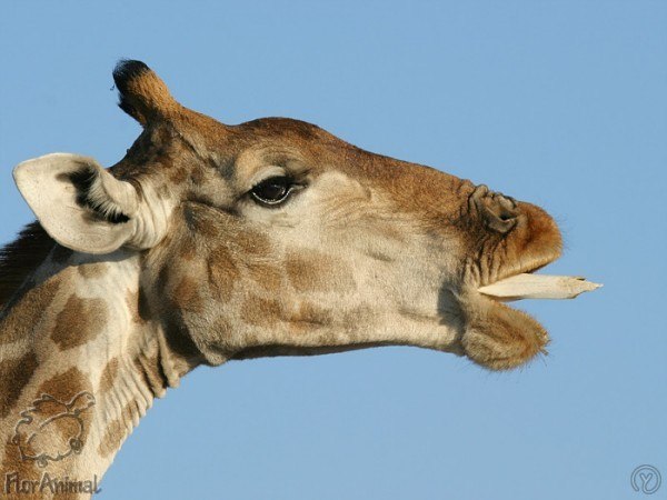 Андрей Масленников | Херсон