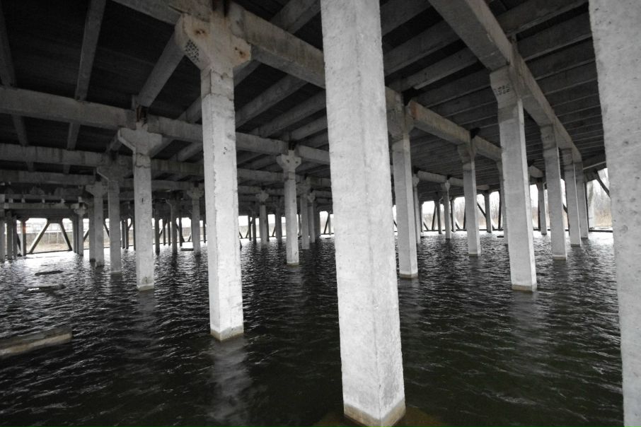 №113, Яна Куксина №113, Яна Куксина