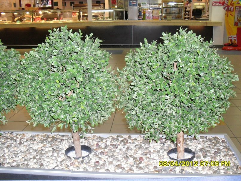 Иван Дашкевич геннадьевич | Красноярск