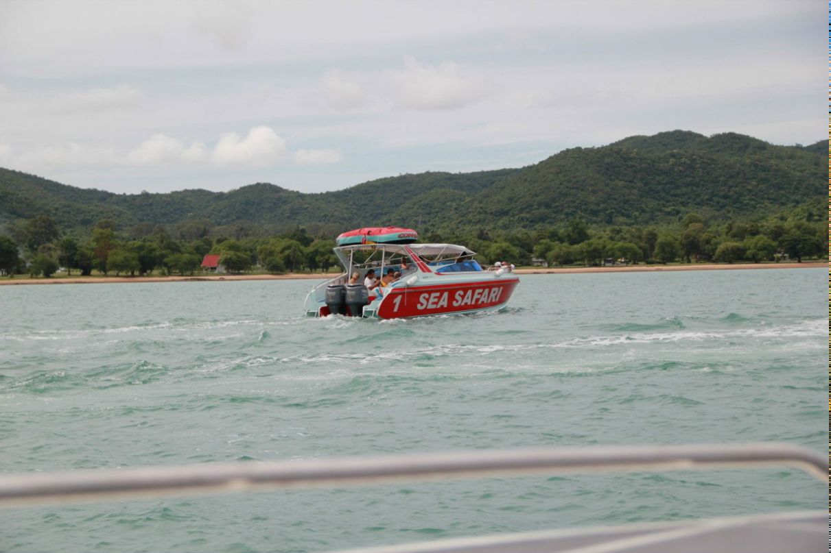 Алексей Дикушин | Зеленоград