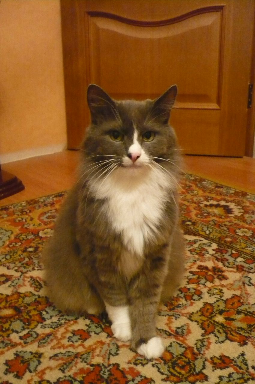 Даша Вепринцева | Санкт-Петербург