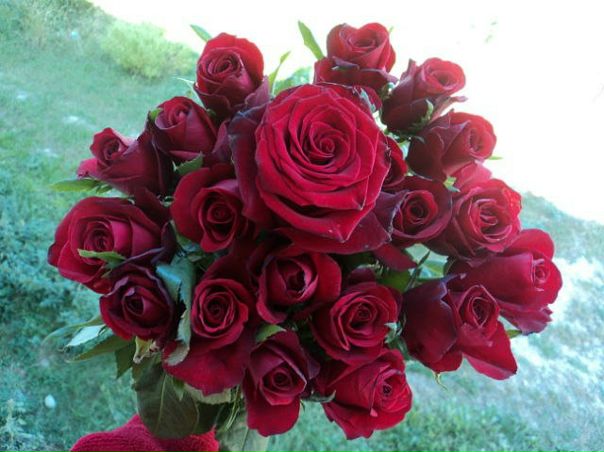 №6, Олеся Чернега, 35 лет №6, Олеся Чернега, 35 лет